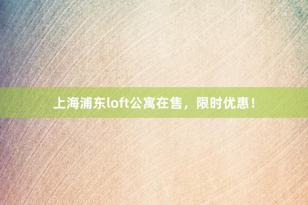 上海浦东loft公寓在售,限时优惠!